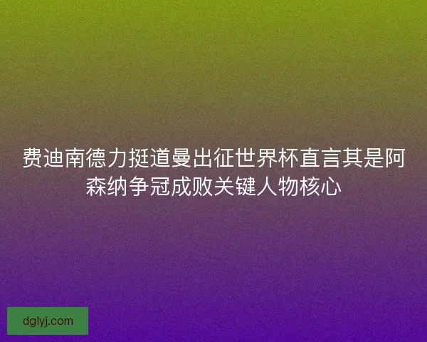 费迪南德力挺道曼出征世界杯直言其是阿森纳争冠成败关键人物核心